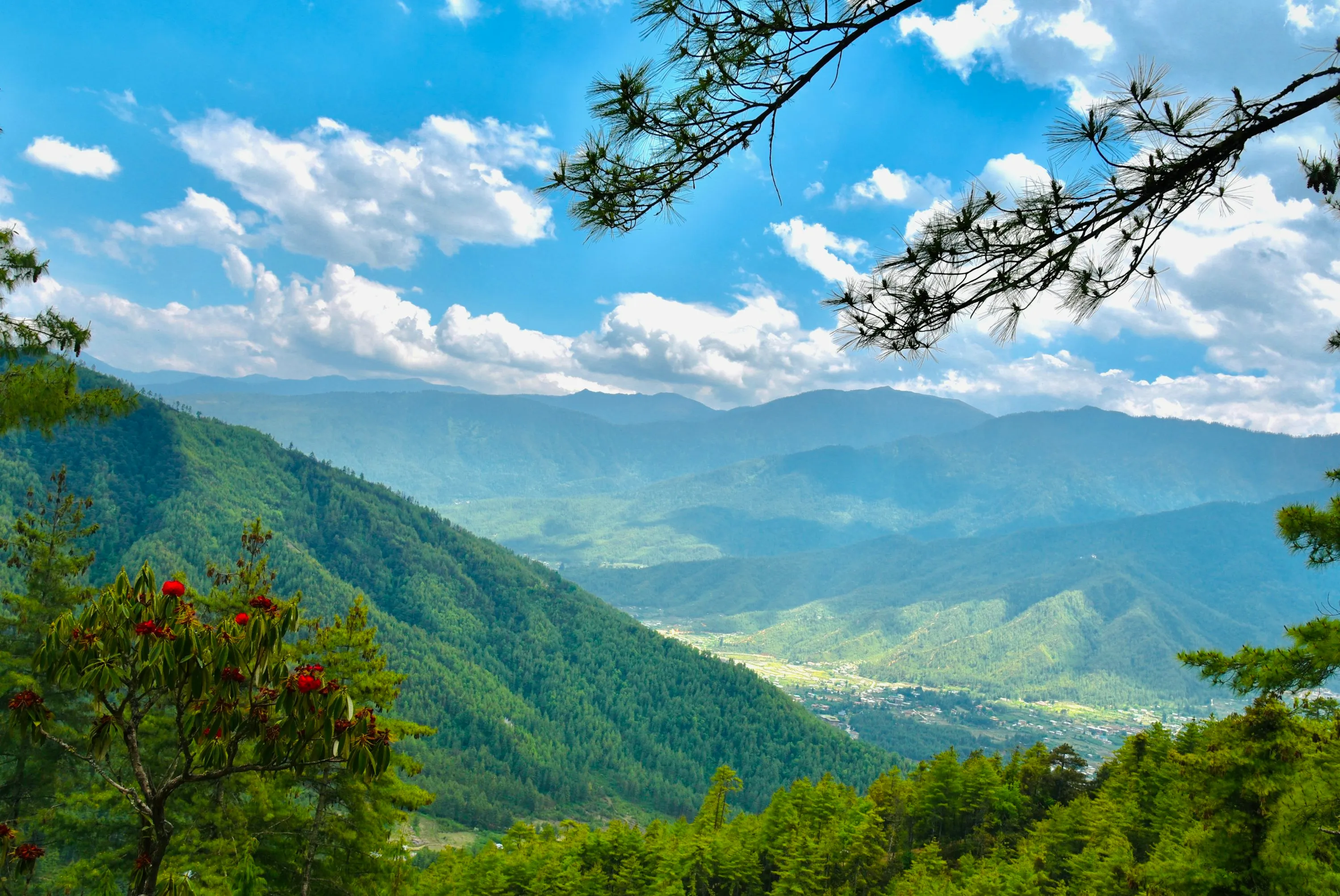 How to Travel to Bhutan from Marshall Islands (2025): A Complete Guide to Visa, SDF, Flights, & Itineraries
