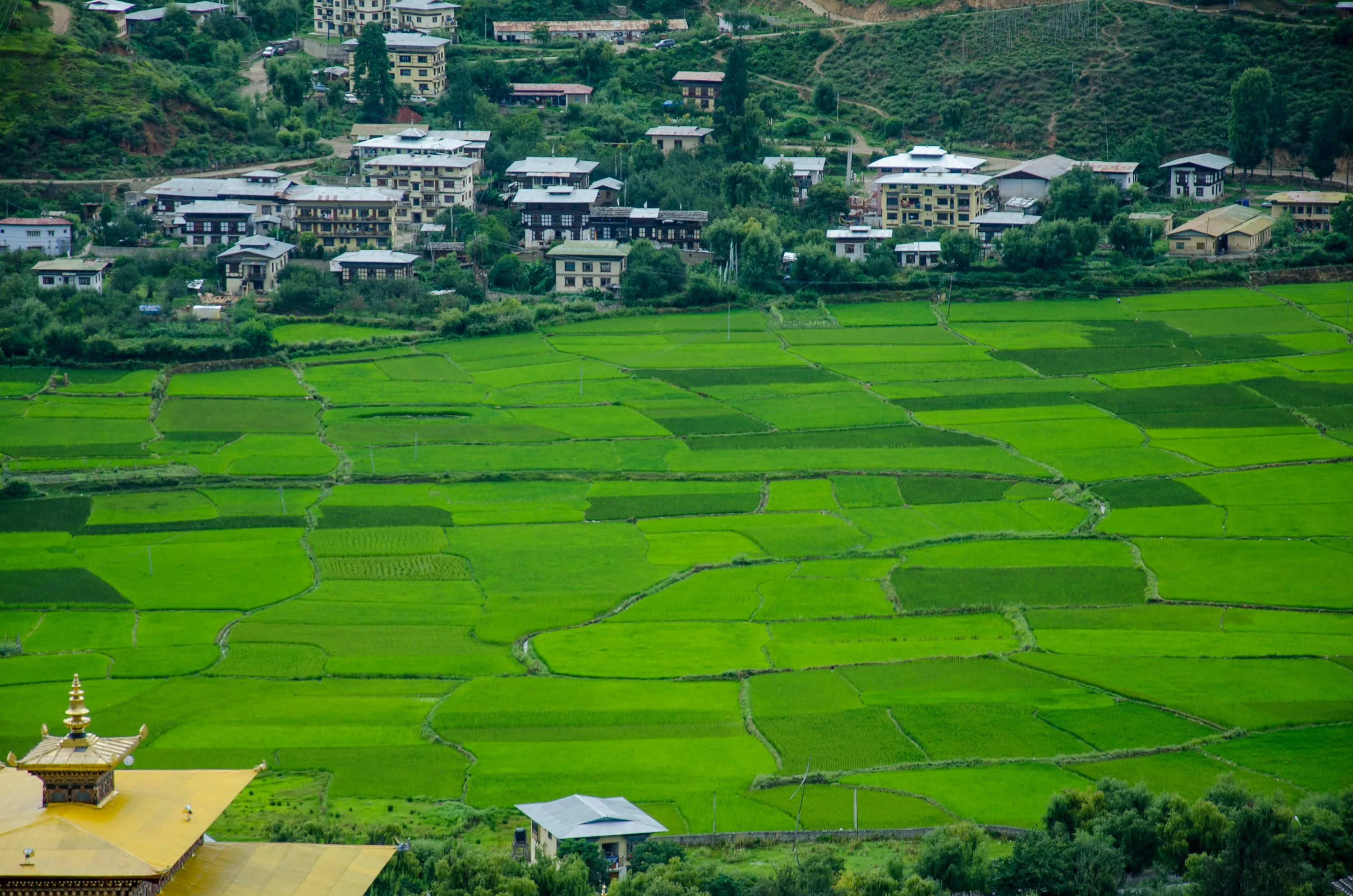 How to Travel to Bhutan from Saint Kitts & Nevis (2025): A Complete Guide to Visa, SDF, Flights, & Itineraries