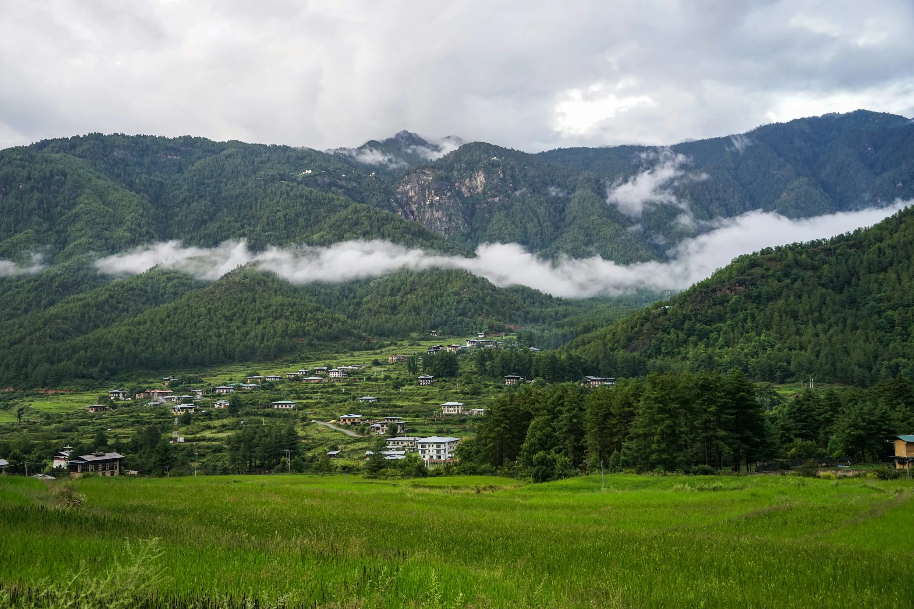 How to Travel to Bhutan from Zimbabwe (2025): A Complete Guide to Visa, SDF, Flights, & Itineraries