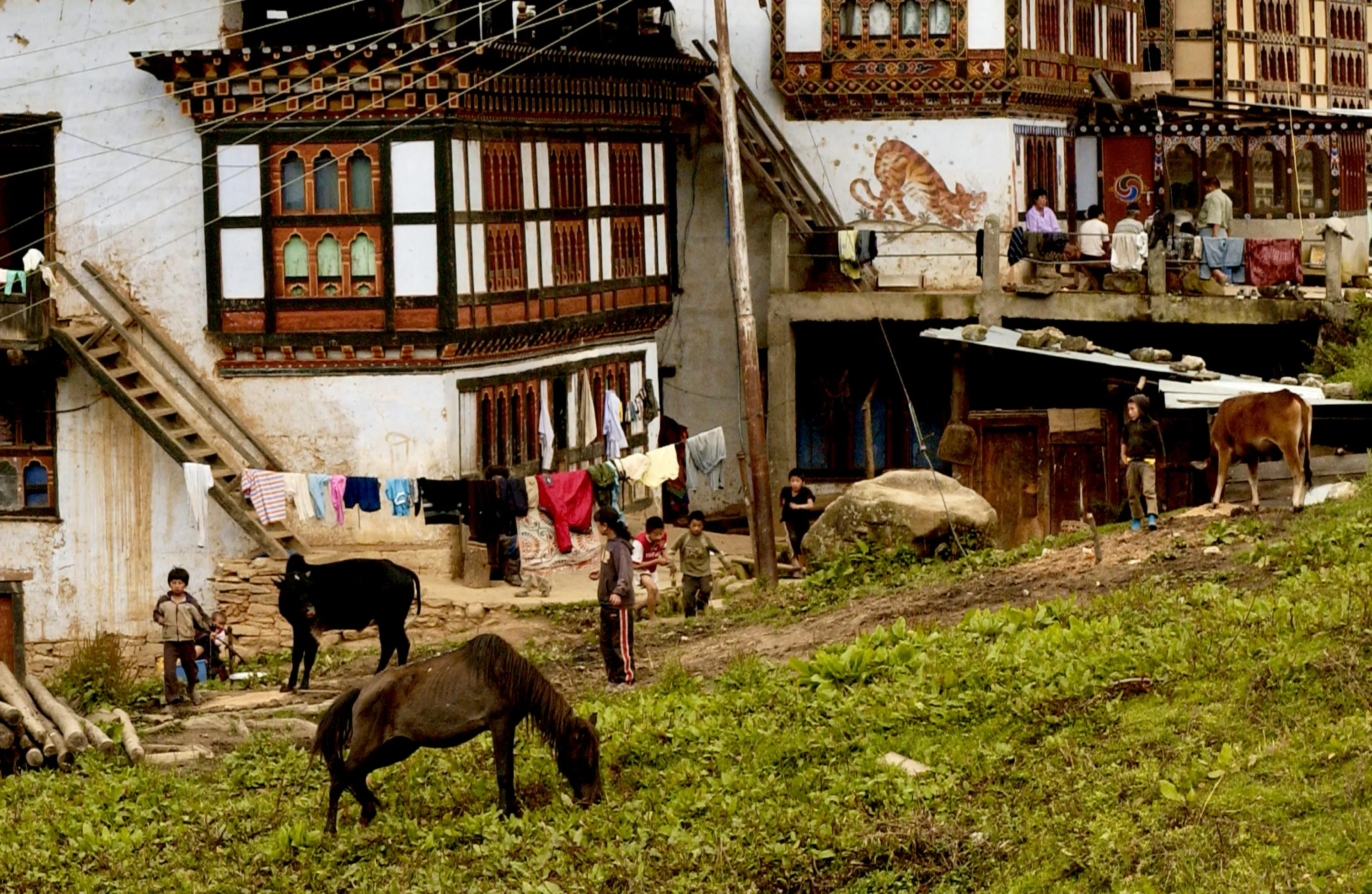 How to Travel to Bhutan from Colombia (2025): A Complete Guide to Visa, SDF, Flights, & Itineraries