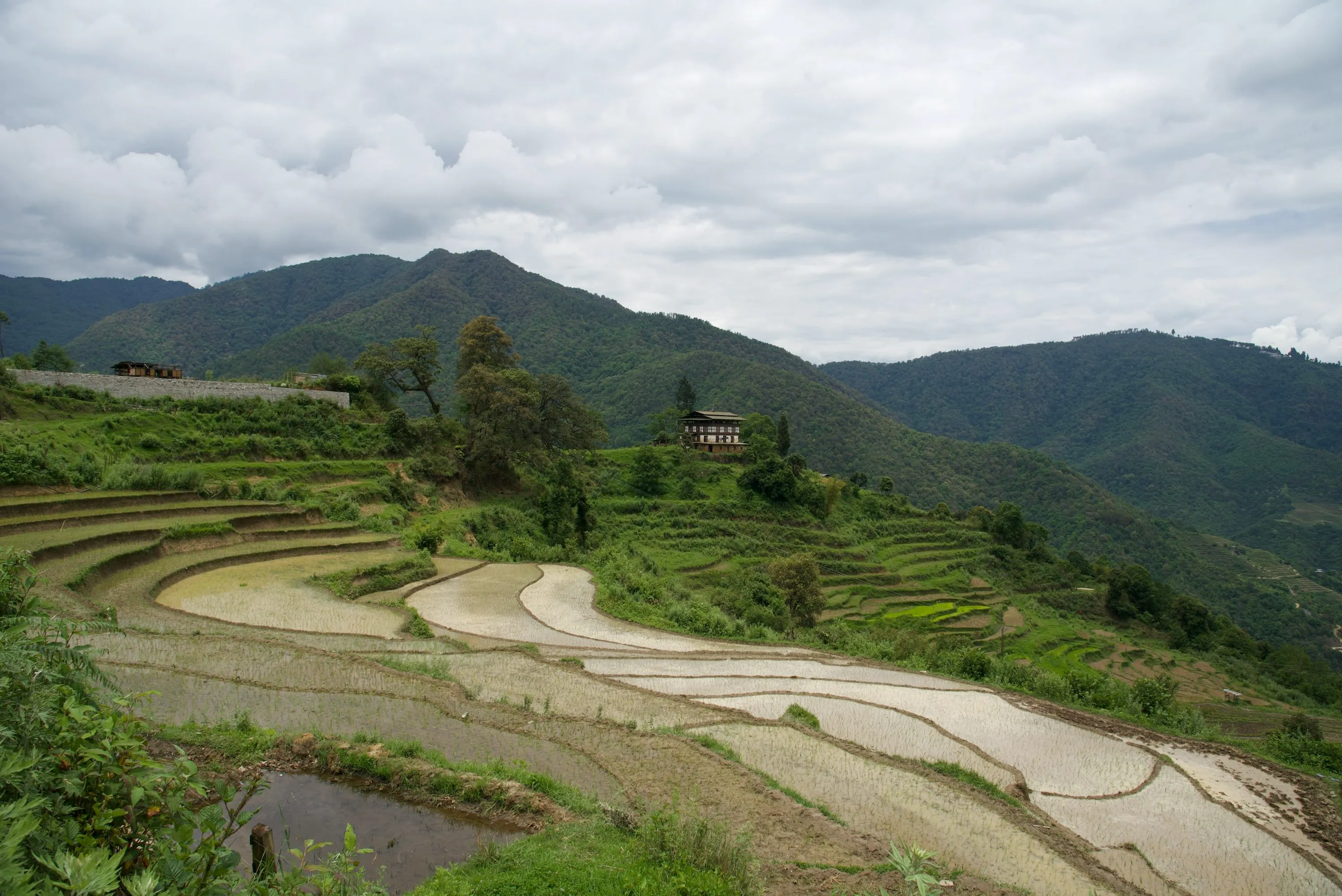 How to Travel to Bhutan from Botswana (2025): A Complete Guide to Visa, SDF, Flights, & Itineraries
