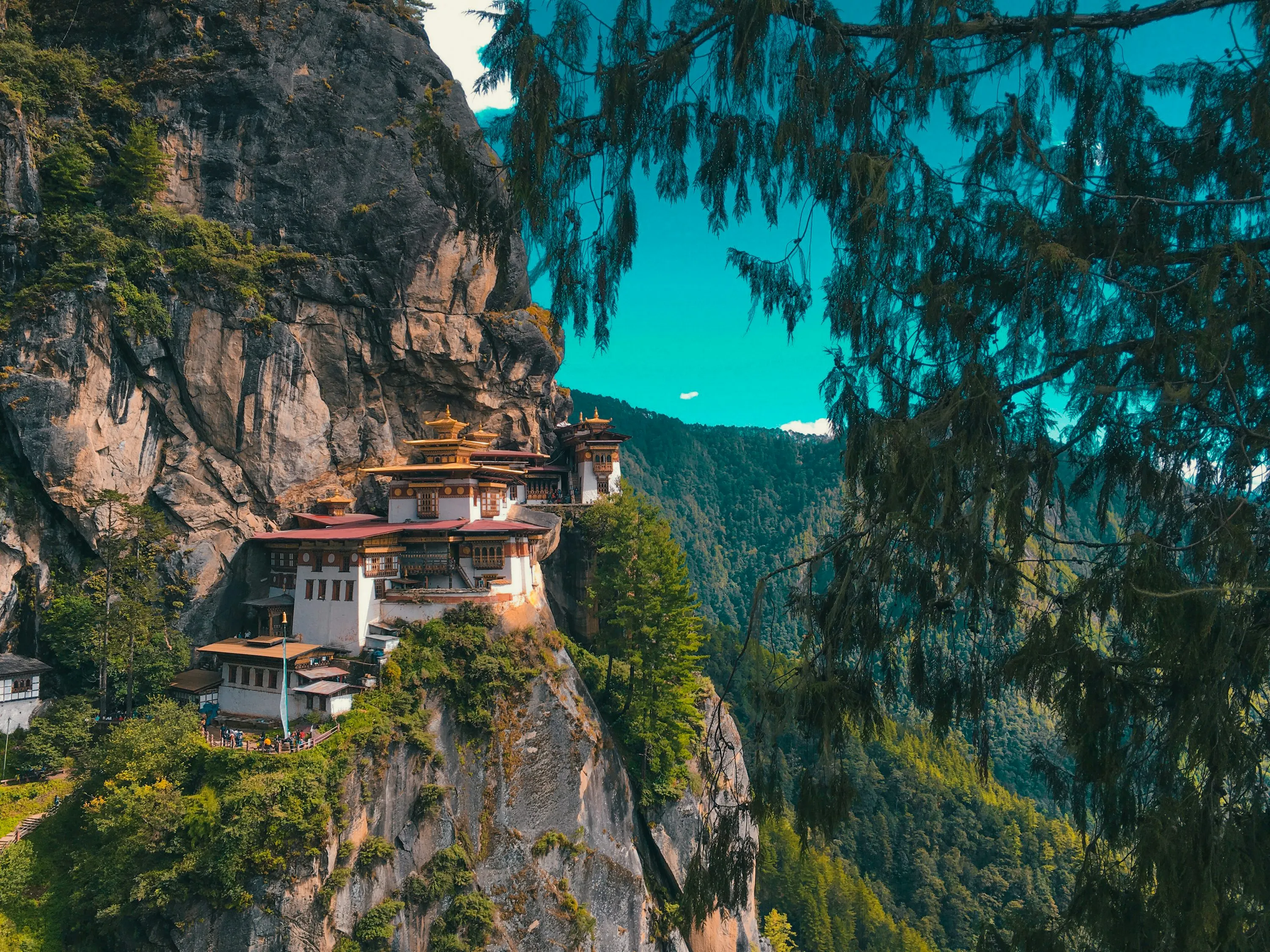 How to Travel to Bhutan from Ethiopia (2025): A Complete Guide to Visa, SDF, Flights, & Itineraries