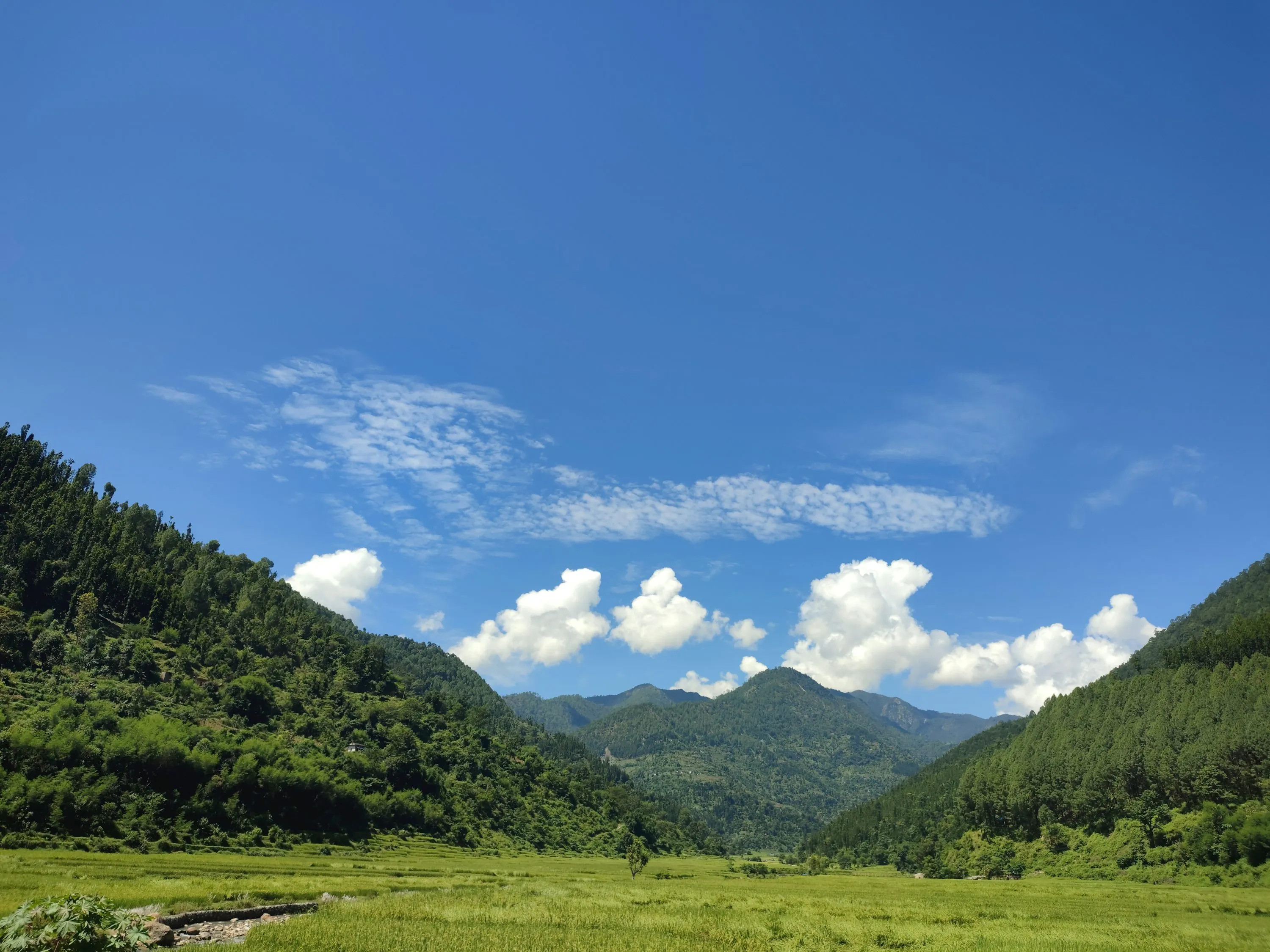 How to Travel to Bhutan from Turkmenistan (2025): A Complete Guide to Visa, SDF, Flights, & Itineraries