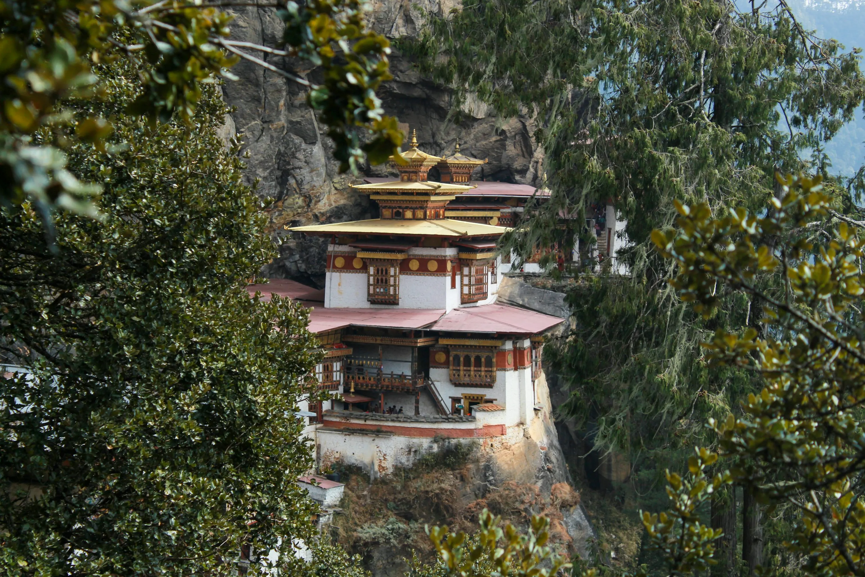 How to Travel to Bhutan from Norway (2025): A Complete Guide to Visa, SDF, Flights, & Itineraries