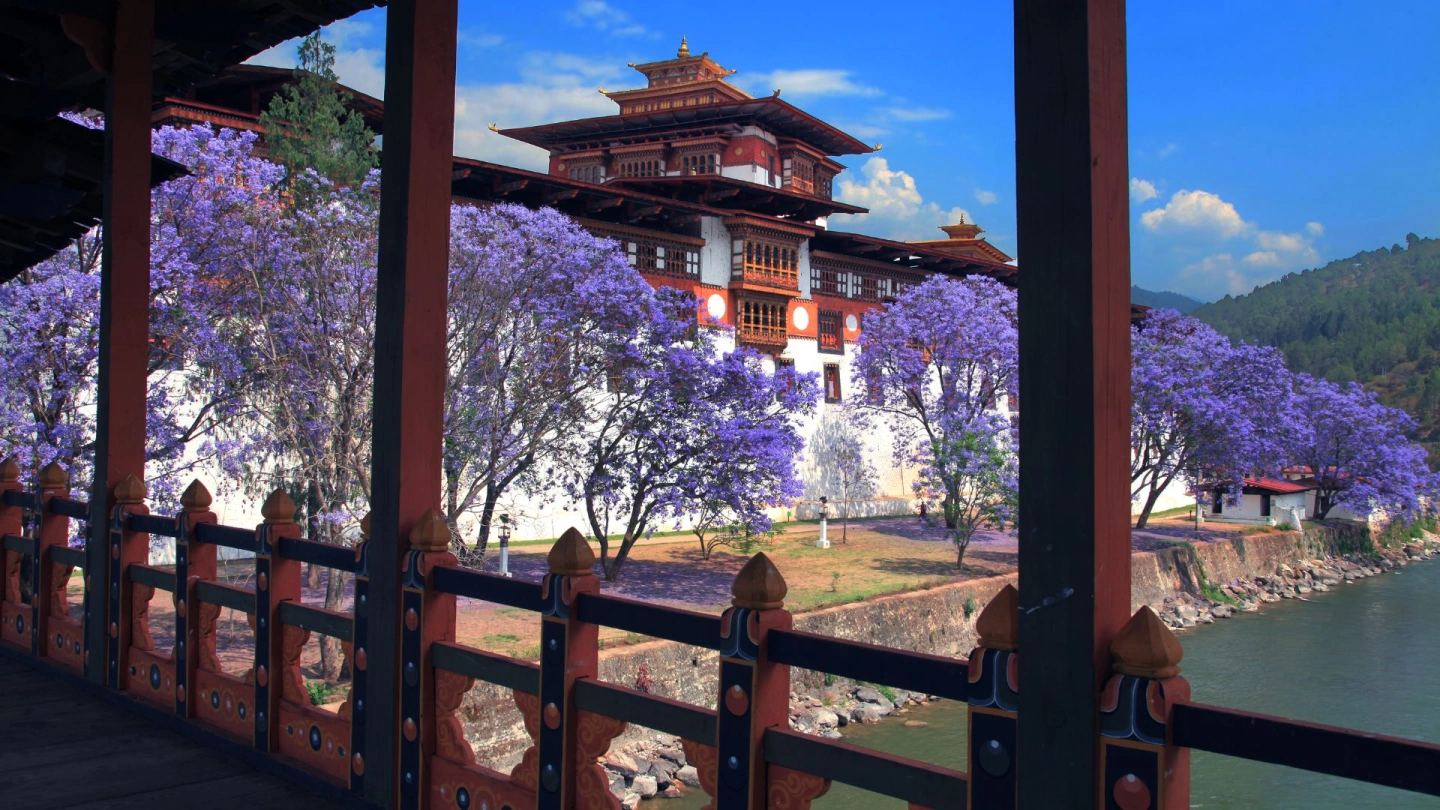How to Travel to Bhutan from Australia (2025): A Complete Guide to Visa, SDF, Flights, & Itineraries