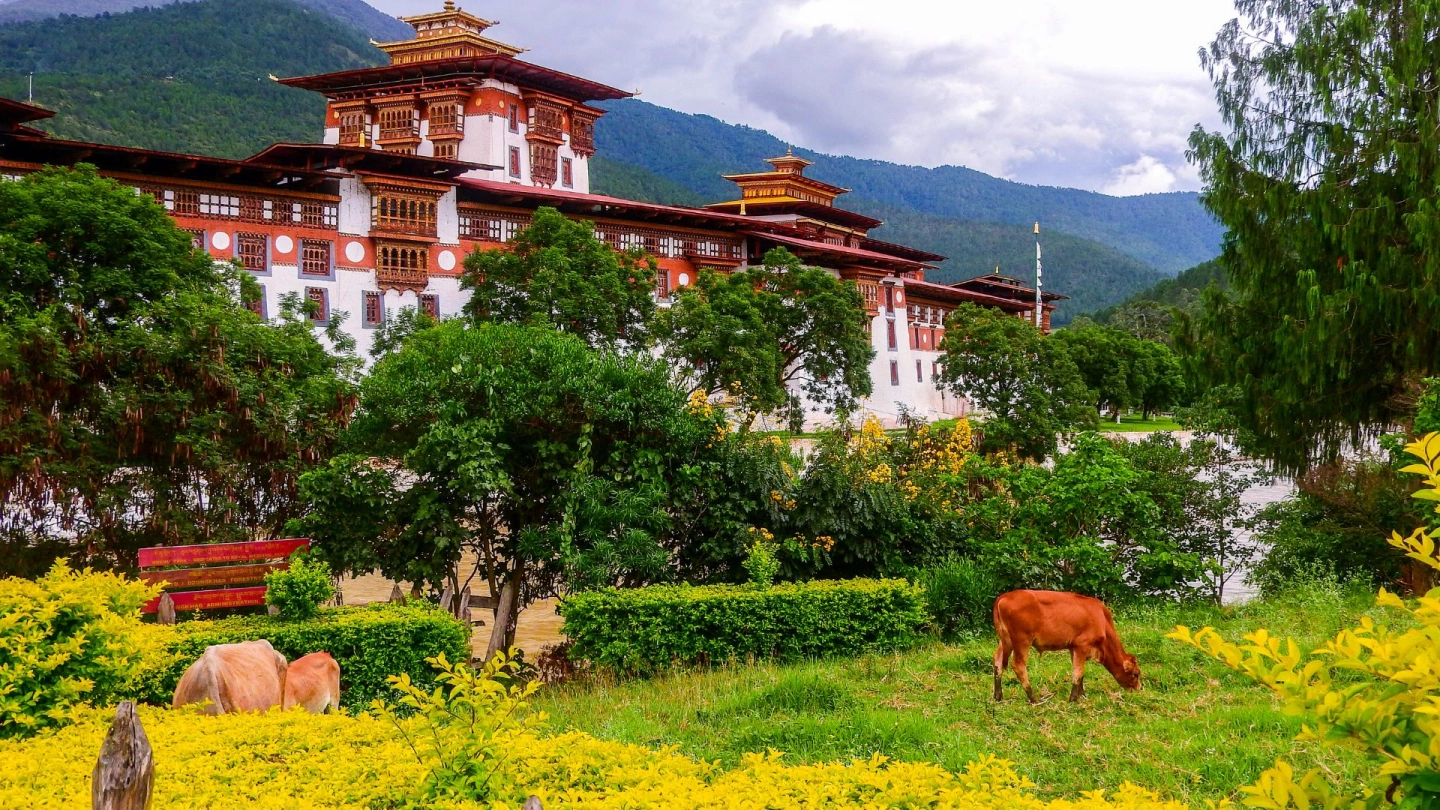 How to Travel to Bhutan from China (2025): A Complete Guide to Visa, SDF, Flights, & Itineraries